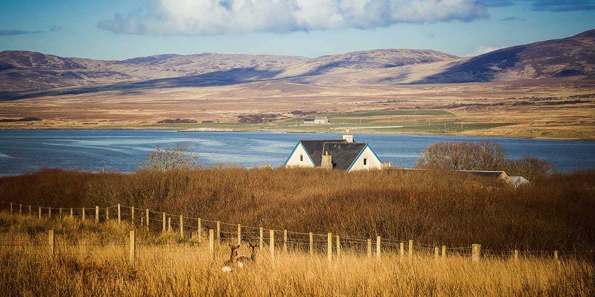 view-vanaf-moorland-walk-islay Moorland Walk Islay